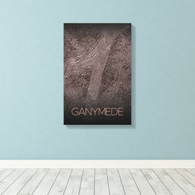 Outer Space, Cosmos, Solar System, Moon Ganymede Canvas Print (Insitu(Wood Floor))