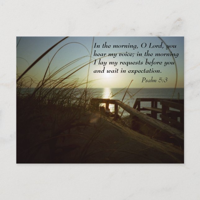 Outerbanks Morning 4 Postcard (Front)