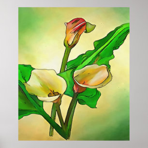 Outlined Calla Lilies Against A Green Ombre Poster