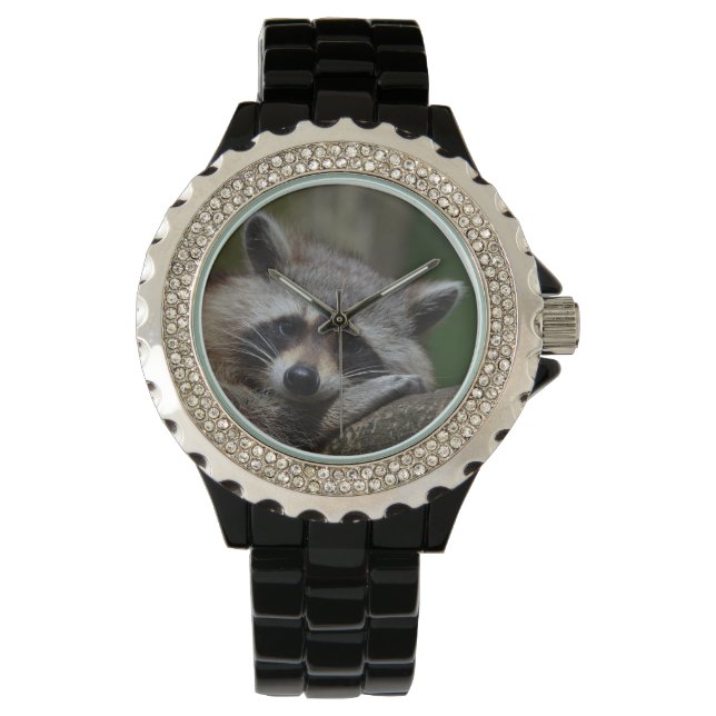 Outrageously Cute Baby Racoon Watch (Front)