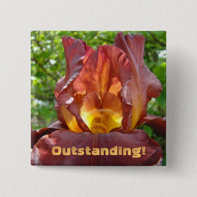 Outstanding! button Iris Flowers School Teachers (Front)