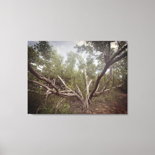 Outstretched Arms Canvas Print (Front)