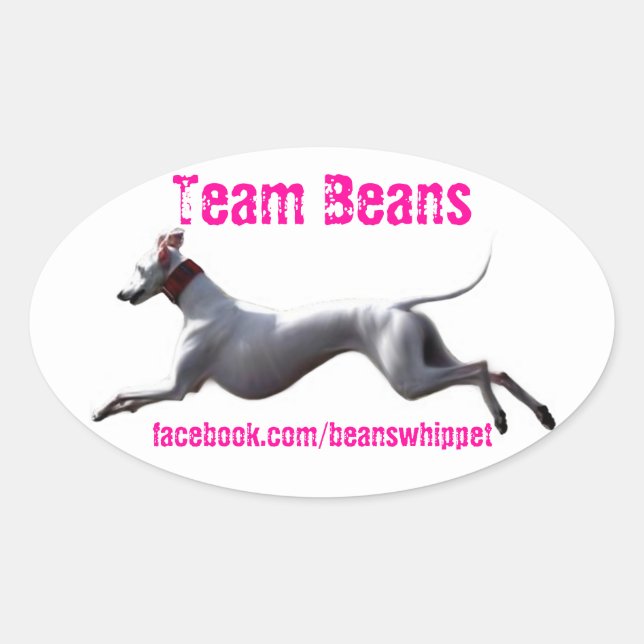 Oval Decal Team Beans Oval Sticker (Front)