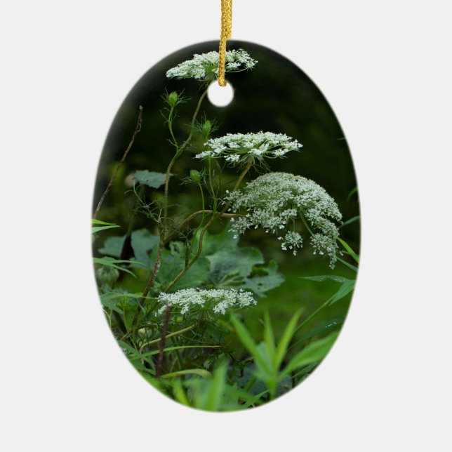 oval ornament template (Front)