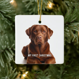 Oval Puppy My First Christmas Photo Ornaments