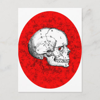 Oval Skull Postcard