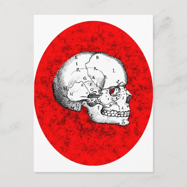 Oval Skull Postcard (Front)
