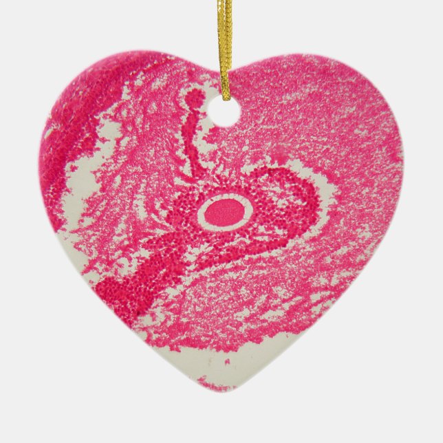 Ovary cells under the microscope. ceramic tree decoration (Front)