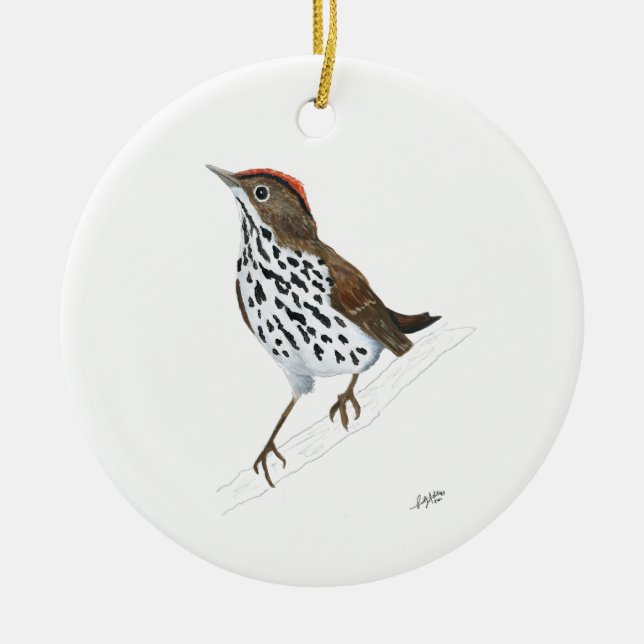 Ovenbird Ceramic Tree Decoration (Front)