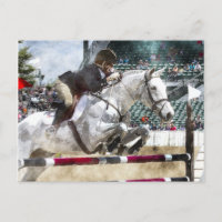 Over Easy Hunter Jumper Show Jumping