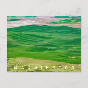 Over the Green Palouse from Steptoe Butte Postcard
