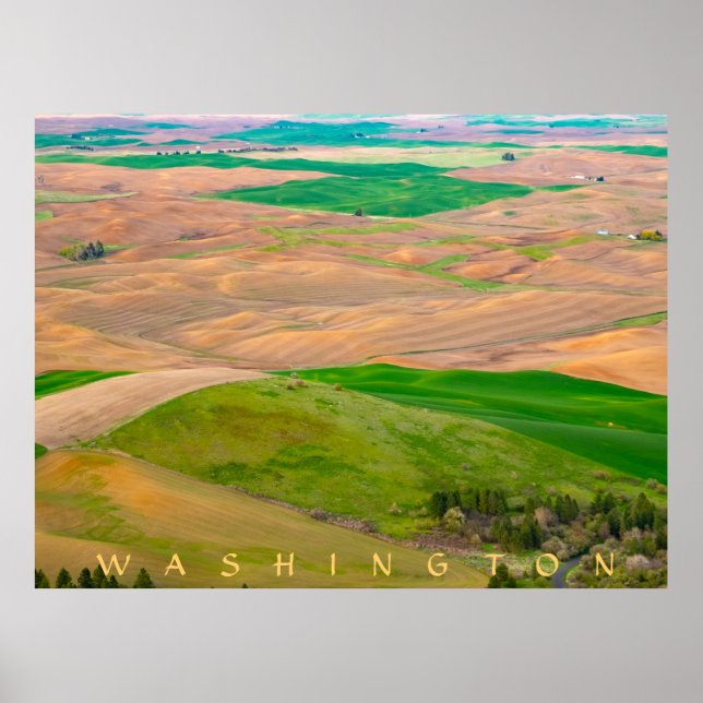 Over the Painted Palouse from Steptoe Butte Poster (Front)