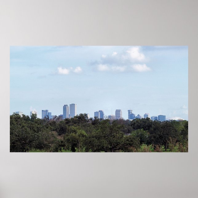 Over The Park Poster (Front)