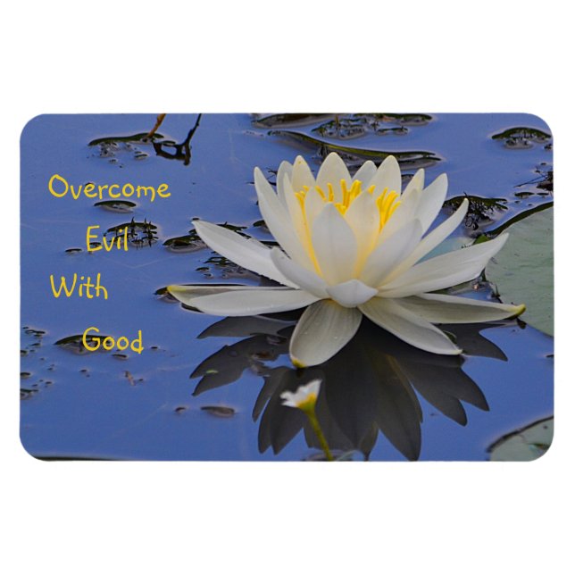 Overcome Evil With Good Magnet (Horizontal)
