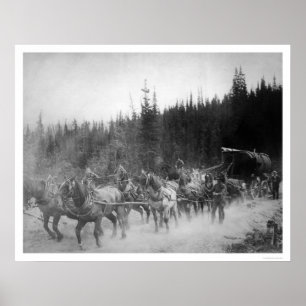 Overland Trail Horses Alaska 1908 Poster