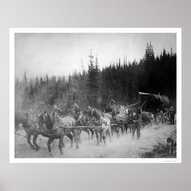 Overland Trail Horses Alaska 1908 Poster (Front)