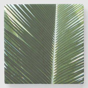 Overlapping Palm Fronds Tropical Green Abstract Stone Coaster