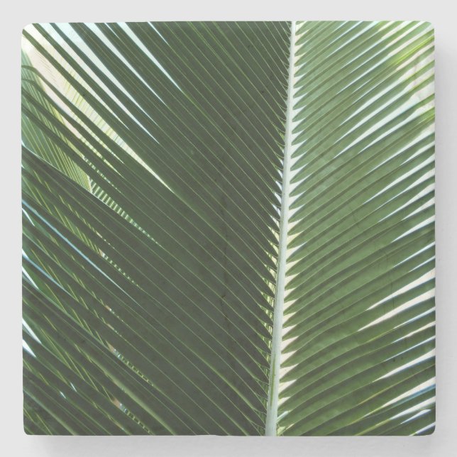 Overlapping Palm Fronds Tropical Green Abstract Stone Coaster (Front)