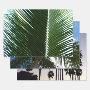 Overlapping Palm Fronds Tropical Green Abstract Wrapping Paper Sheet