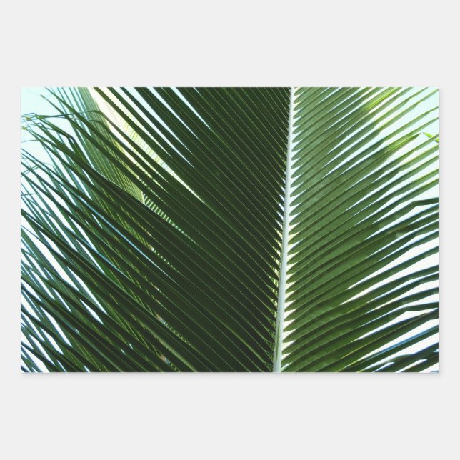 Overlapping Palm Fronds Tropical Green Abstract Wrapping Paper Sheet (Front)