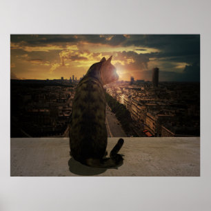 Overlook Poster