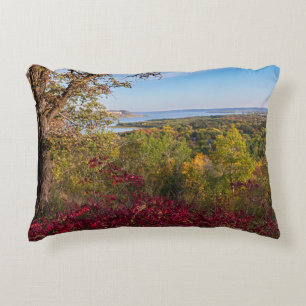 overlooking lake pepin from frontenac state park decorative cushion