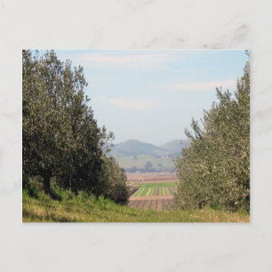 Overlooking San Juan Valley Postcard