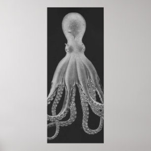 Oversized Octopus Triptych II Print in Grey