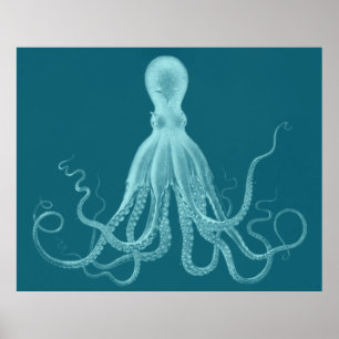 Oversized Octopus Triptych Print in Turquoise