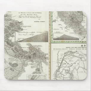 Overview of the better known bifurcation mouse pad