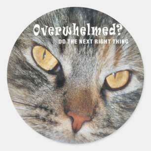 overwhelmed Nellie Classic Round Sticker