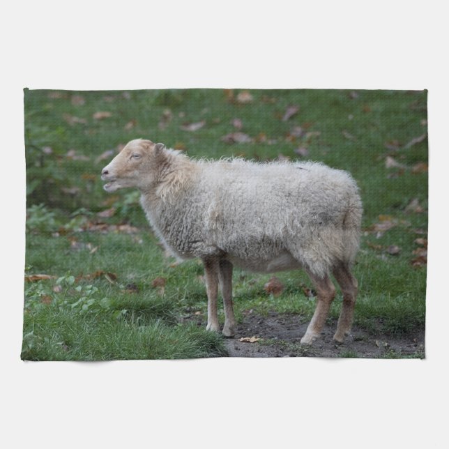 Ovis aries tea towel (Horizontal)