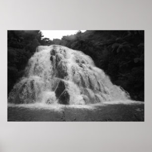 Owharoa Falls in Black and White Poster