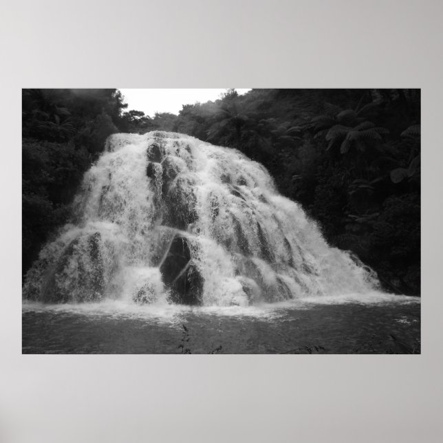 Owharoa Falls in Black and White Poster (Front)