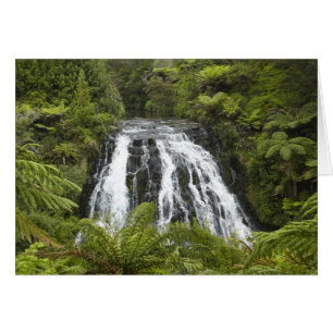 Owharoa Falls, Karangahake Gorge, near Paeroa,