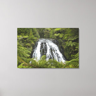 Owharoa Falls, Karangahake Gorge, near Paeroa, Canvas Print