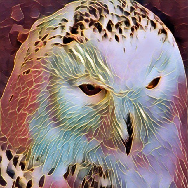 OWL  (An art design of a beautiful snowy owl.)