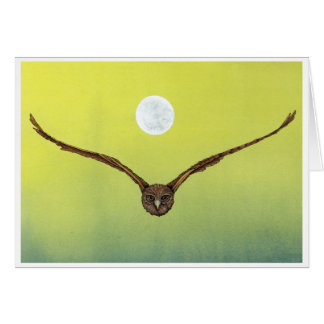 Owl