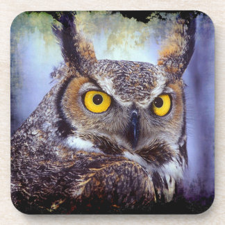 Owl 1 Coaster