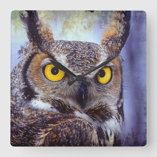 Owl 1 Wall Clocks & Numeral Options (Front)