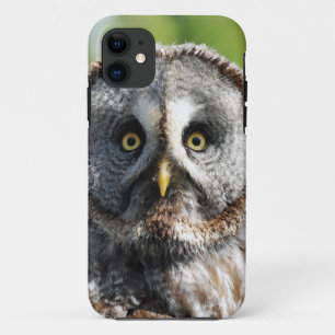 Owl_20180219_by_JAMFoto iPhone 11 Case