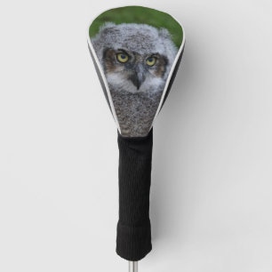 Owl_2019001 Golf Head Cover