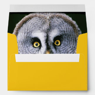 Owl 2 Envelope