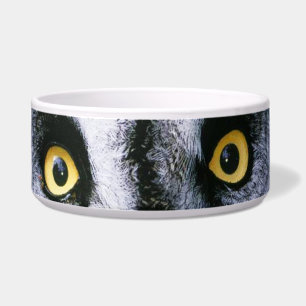 Owl 2 Pet Bowl