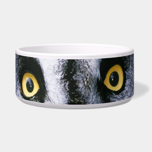 Owl 2 Pet Bowl (Front)
