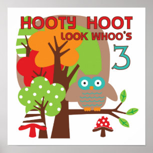 Owl 3rd Birthday T-shirts and Gifts Poster