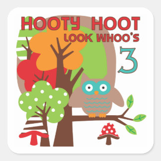 Owl 3rd Birthday T-shirts and Gifts Square Sticker