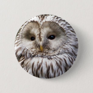 OWL 6 CM ROUND BADGE