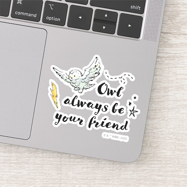 Owl Always Be Your Friend (Detail)