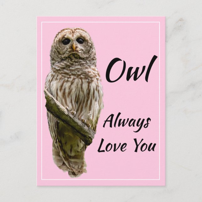 Owl Always Love You Postcard (Front)